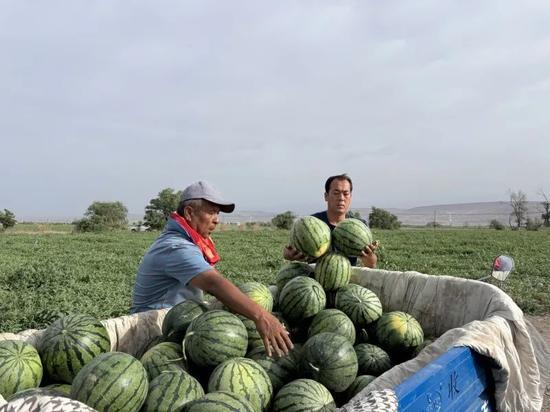 第一视频吃瓜,揭秘娱乐圈吃瓜背后的真相