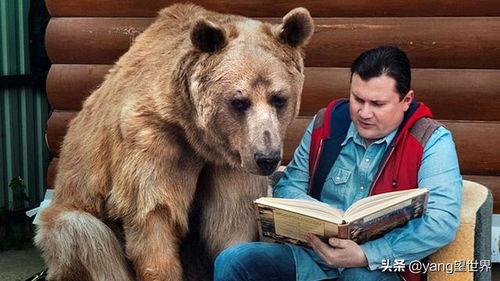 萌熊小叔吃瓜视频,揭秘娱乐圈幕后故事