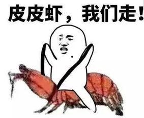 北方群众吃瓜视频,夏日街头美食盛宴